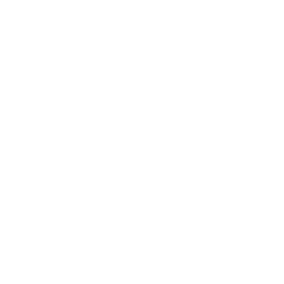 Brand Strategy Icon