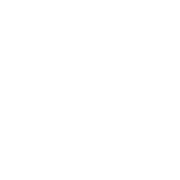 Web Development Icon