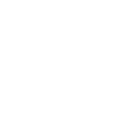 Cloud Solutions & Architecture Icon