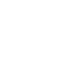 Custom Software Engineering Icon