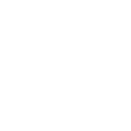 Digital Transformation Icon