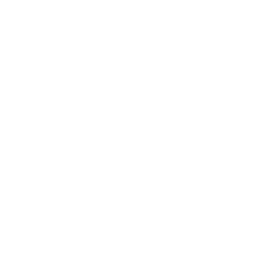Web and Mobile Development Icon